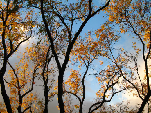 754004 (a): :2592x1944